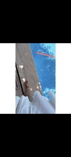 Biran Damla Yilmaz feet photo 12