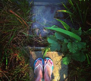 Birdy feet photo 13