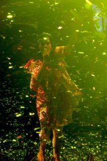 Björk feet photo thumbnail