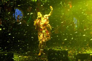 Björk feet photo thumbnail