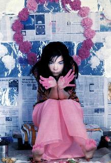 Björk feet photo thumbnail