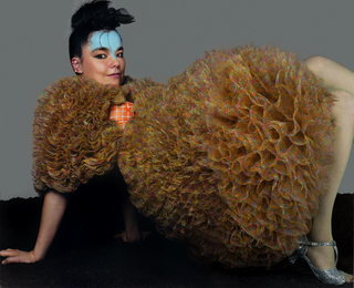 Björk feet photo thumbnail