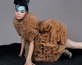 Björk feet photo thumbnail