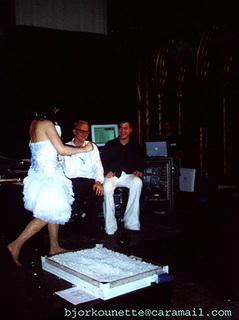 Björk feet photo thumbnail