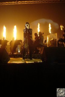 Björk feet photo thumbnail