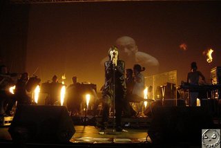 Björk feet photo thumbnail