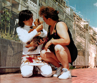 Björk feet photo thumbnail