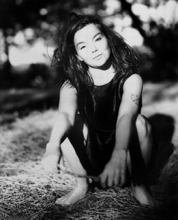 Björk feet photo thumbnail