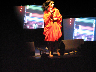 Björk feet photo thumbnail