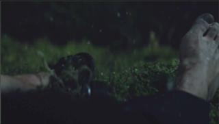 Blake Lively feet photo thumbnail