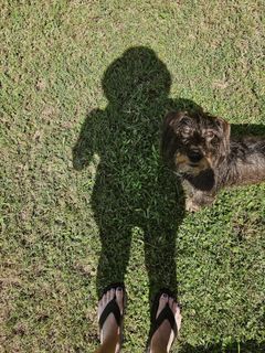 Blanca Suárez feet photo 3