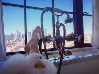 Bojana Novakovic feet photo thumbnail