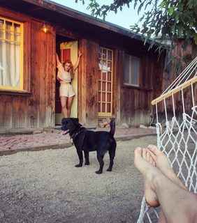 Bojana Novakovic feet photo thumbnail