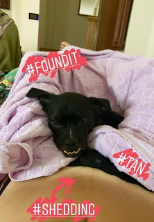 Bojana Novakovic feet photo thumbnail