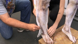 Bonnie Morgan feet photo 1