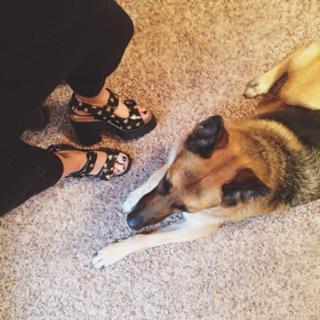 Brandi Cyrus feet photo 5