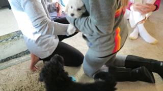 Breanne Ezarik feet photo thumbnail