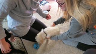 Breanne Ezarik feet photo thumbnail