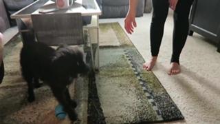 Breanne Ezarik feet photo thumbnail