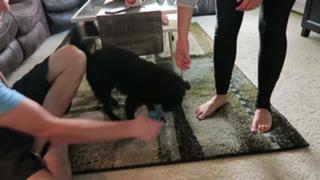 Breanne Ezarik feet photo thumbnail