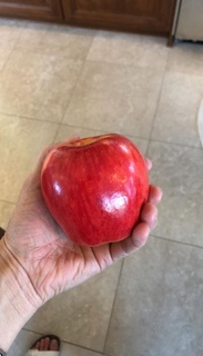 Bree Turner feet photo thumbnail