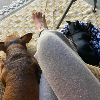 Bree Williamson feet photo 2