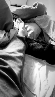 Brenda Lodigiani feet photo thumbnail