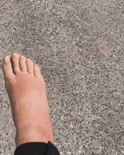 Brenda Lodigiani feet photo thumbnail