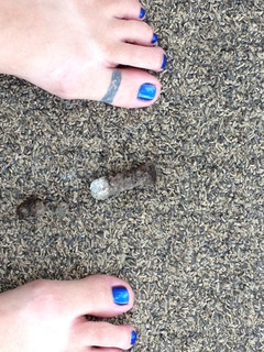 Bridget Everett feet photo 8