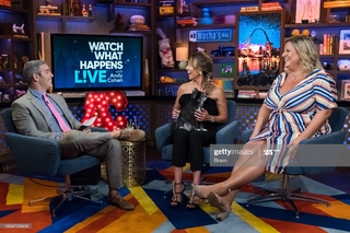 Bridget Everett feet photo 16