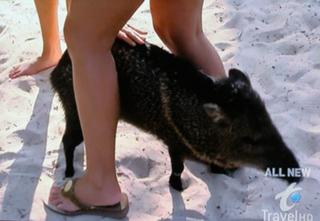 Bridget Marquardt feet photo 2