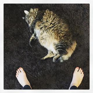 Bridget O'Neill feet photo 15