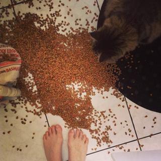 Bridget O'Neill feet photo 9