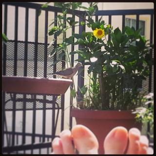Bridget O'Neill feet photo 8