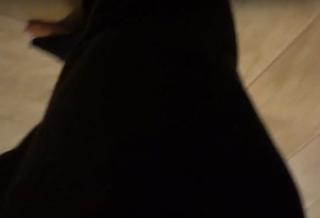 Bridgette West feet photo 19