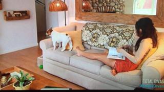 Brie Garcia feet photo thumbnail