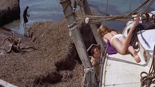 Brigitte Bardot feet photo thumbnail