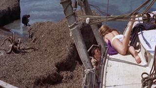 Brigitte Bardot feet photo thumbnail