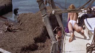 Brigitte Bardot feet photo thumbnail