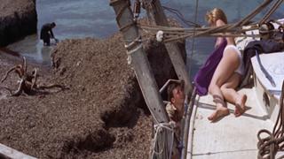 Brigitte Bardot feet photo thumbnail