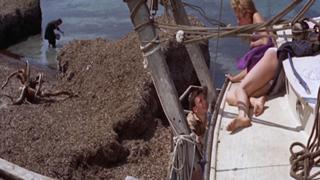 Brigitte Bardot feet photo thumbnail