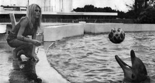 Brigitte Bardot feet photo thumbnail