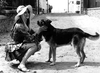 Brigitte Bardot feet photo thumbnail