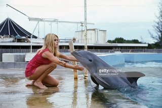 Brigitte Bardot feet photo thumbnail