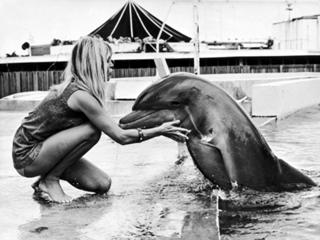 Brigitte Bardot feet photo thumbnail