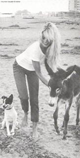 Brigitte Bardot feet photo thumbnail