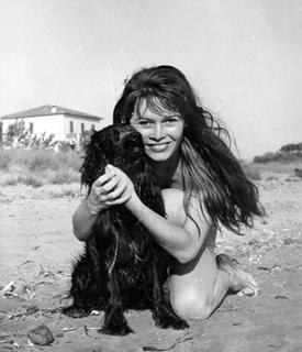 Brigitte Bardot feet photo thumbnail