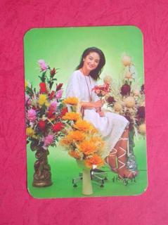 Brigitte Lin feet photo 2