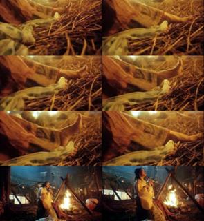 Brigitte Lin feet photo 11