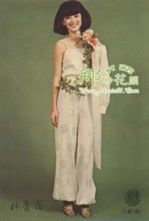 Brigitte Lin feet photo 19